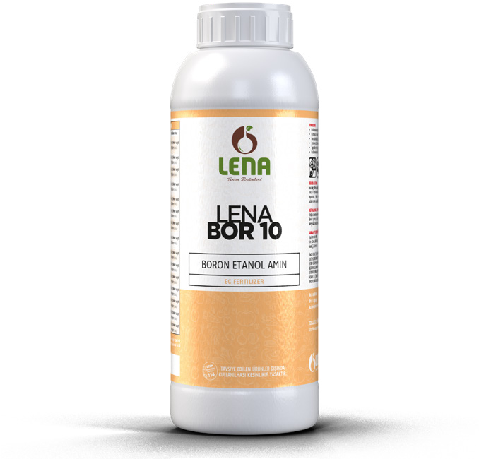 LENA BOR 10