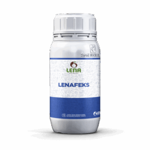 LENAFEKS