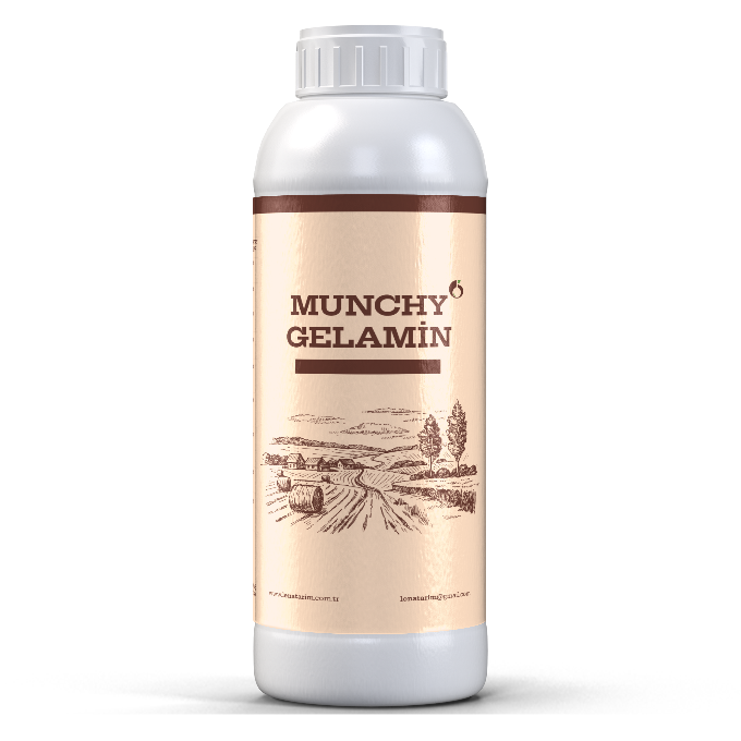 MUNCHY GELAMIN