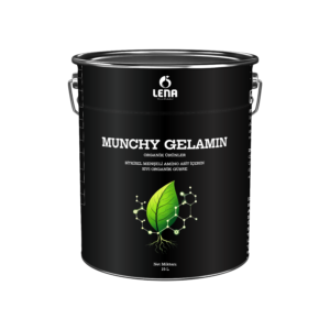 MUNCHY GELAMIN