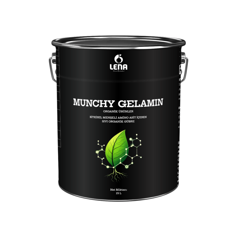 MUNCHY GELAMIN
