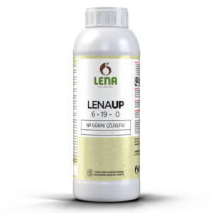 LENA UP