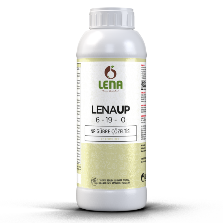 LENA UP